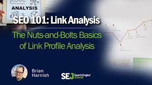 seo link analysis