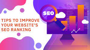 website seo rank