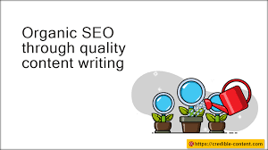 organic search engine optimization