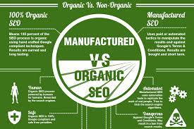 Unlocking the Potential of Organic SEO for Sustainable Online Growth