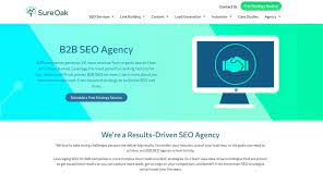 Maximizing Business Growth with B2B SEO Services: A Strategic Approach