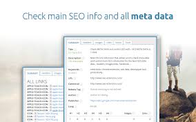 Optimize Your SEO Meta in Just 1 Click: Streamlining Your Online Presence