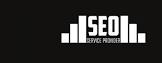 Unlocking Success: Choosing the Right SEO Service Provider for Your Business