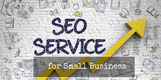 small business seo consultant