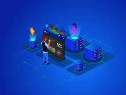 Maximizing Your SEO Potential with Dedicated SEO VPS Solutions
