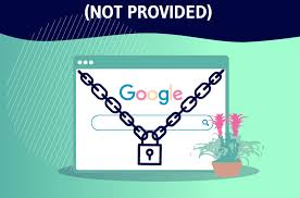 Navigating the Challenges of “Not Provided” Data in Modern SEO Strategies