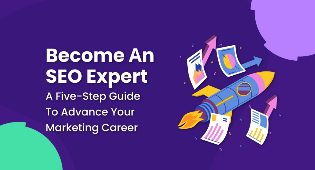 looking for seo expert