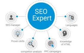search engine specialist